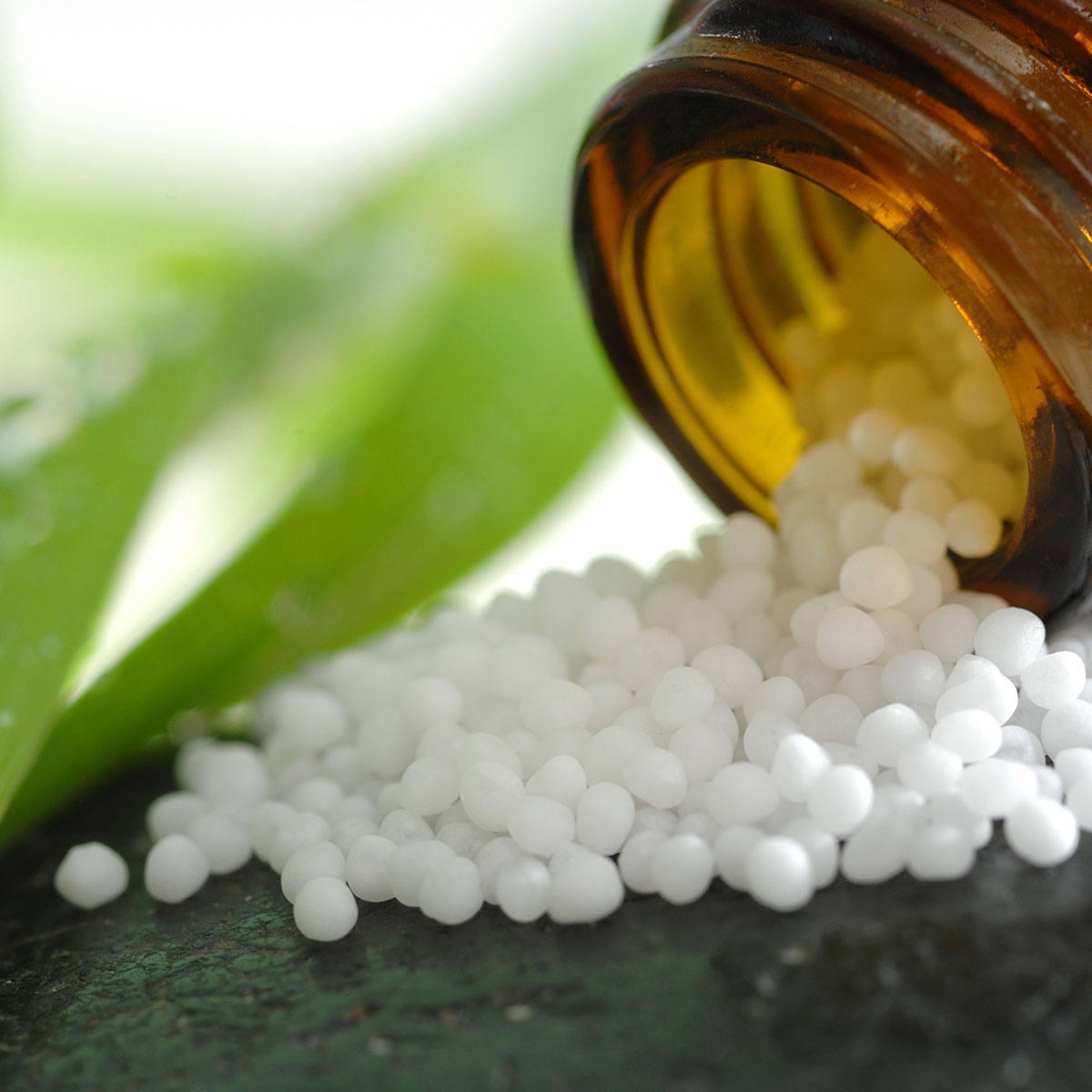 Praxis für Natur Medizin Naturmedizin Naturheilkunde Naturheilpraxis Homöopathie Meditation Bewusstsein Schotten Volgesberg Rödel Roedl