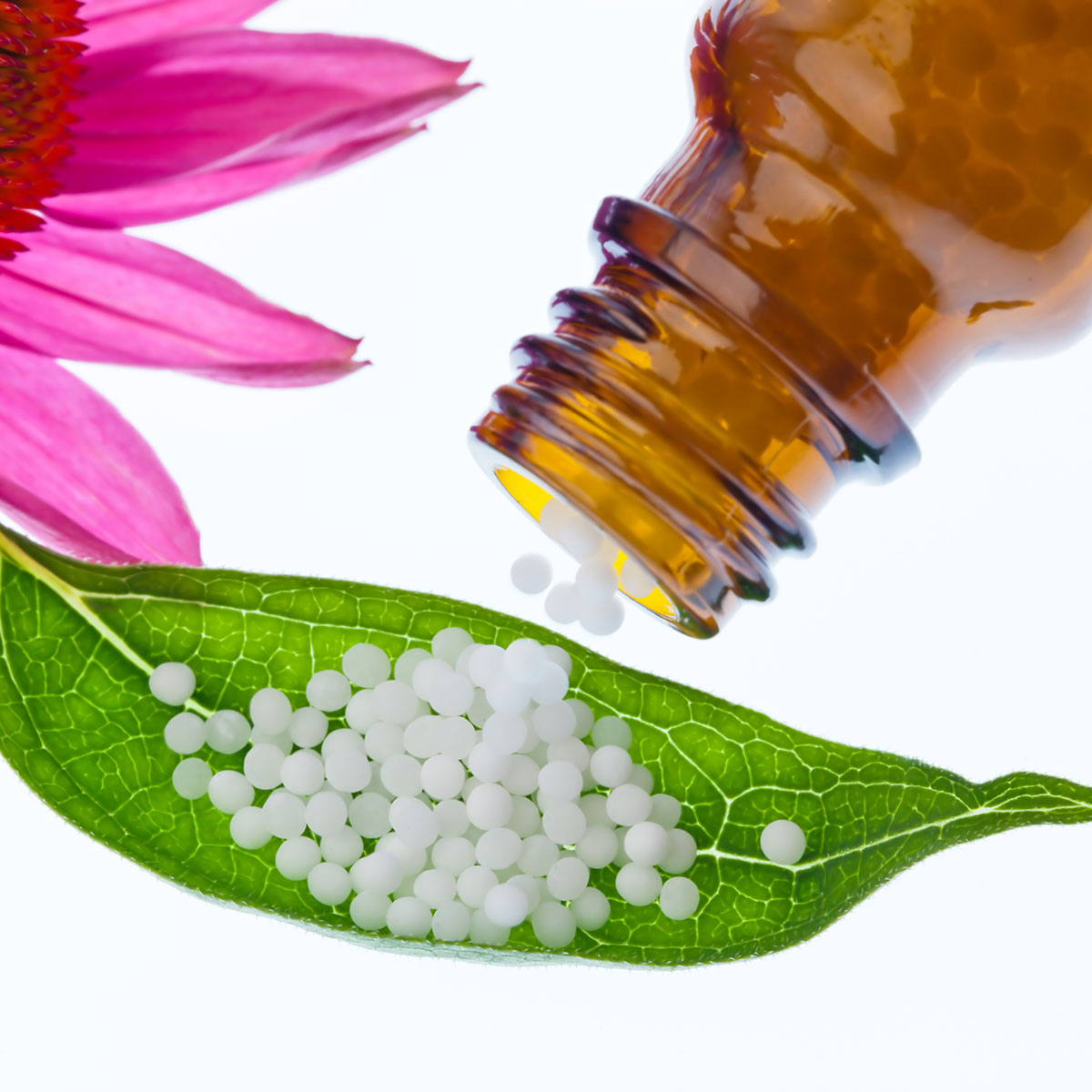 Praxis für Naturmedizin klassische Homöopathie Seele Meditation Bewusstsein Schotten Volgesberg Rödel Roedl